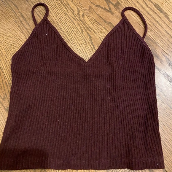 Brandy Melville Tops - Burgundy Brandy Melville Crop Top